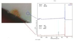XPS Übersichtsspektren im Bereich der Verfärbung und daneben (Messspot Ø 110 µm).